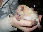 Fotoblog troooloolooloo