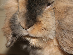 Fotoblog minka001