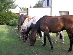 Fotoblog julia72331