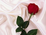 Fotoblog nikkkkkkkkkkkkki