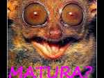 Fotoblog agarzyy94