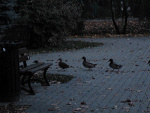 Fotoblog highxfive