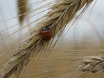 Fotoblog ogarnijxto