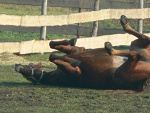 Fotoblog sikorka66