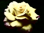 Fotoblog klaudia2805