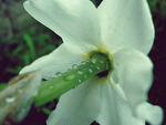 Fotoblog frivol