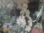 Fotoblog kryska221112