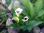 Fotoblog marcinekeko