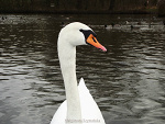 Fotoblog buziaczeek1234