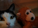 Fotoblog roxi20