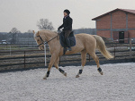 Hania i Drops