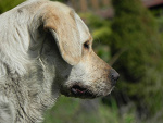 Fotoblog kamila141510