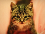 Fotoblog kasiula2002