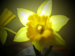 Fotoblog akwamaryn0