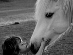 Fotoblog x3dreamx3