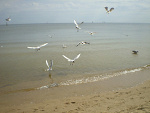 Fotoblog boktozabronimimarzyc