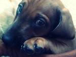 Fotoblog sylaaaaaaa