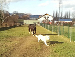 Fotoblog leasman111