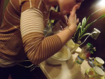 Fotoblog deecodeee