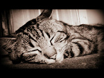 Fotoblog grimimi
