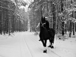 Fotoblog lovegivesmestrength