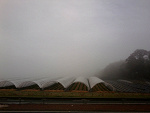 Fotoblog oranzada228