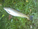 Fotoblog wedkujemy