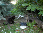 Fotoblog gregor2903