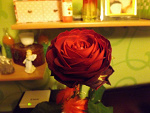 Fotoblog moniiiax3