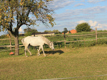 Fotoblog ladyanabell