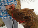 Fotoblog truskawyxd