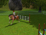 Fotoblog equumsims