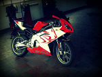 Fotoblog stuntrider
