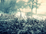 Fotoblog tasteofblood