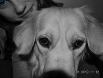 Fotoblog nataliaoo