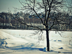 Fotoblog ilovexdd