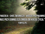 Fotoblog zakletawrzeczywistosc