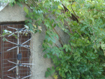 Fotoblog will20
