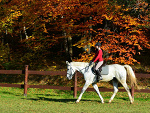 Fotoblog liranna