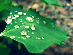 Fotoblog letdreamscometrue