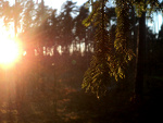 Fotoblog dzem4ever