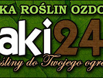 Fotoblog iglaki24pl