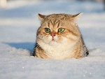 Fotoblog anytimeanywhere