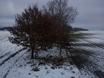 Fotoblog psychodelamzk