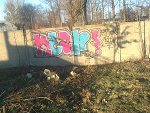 Fotoblog osamabinladen5