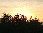 Fotoblog planetarymonster