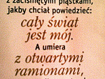 Fotoblog gramczysto