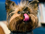 Fotoblog charlotteka