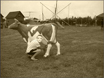 Fotoblog poprostuhejt