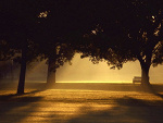 Fotoblog teakwondo9